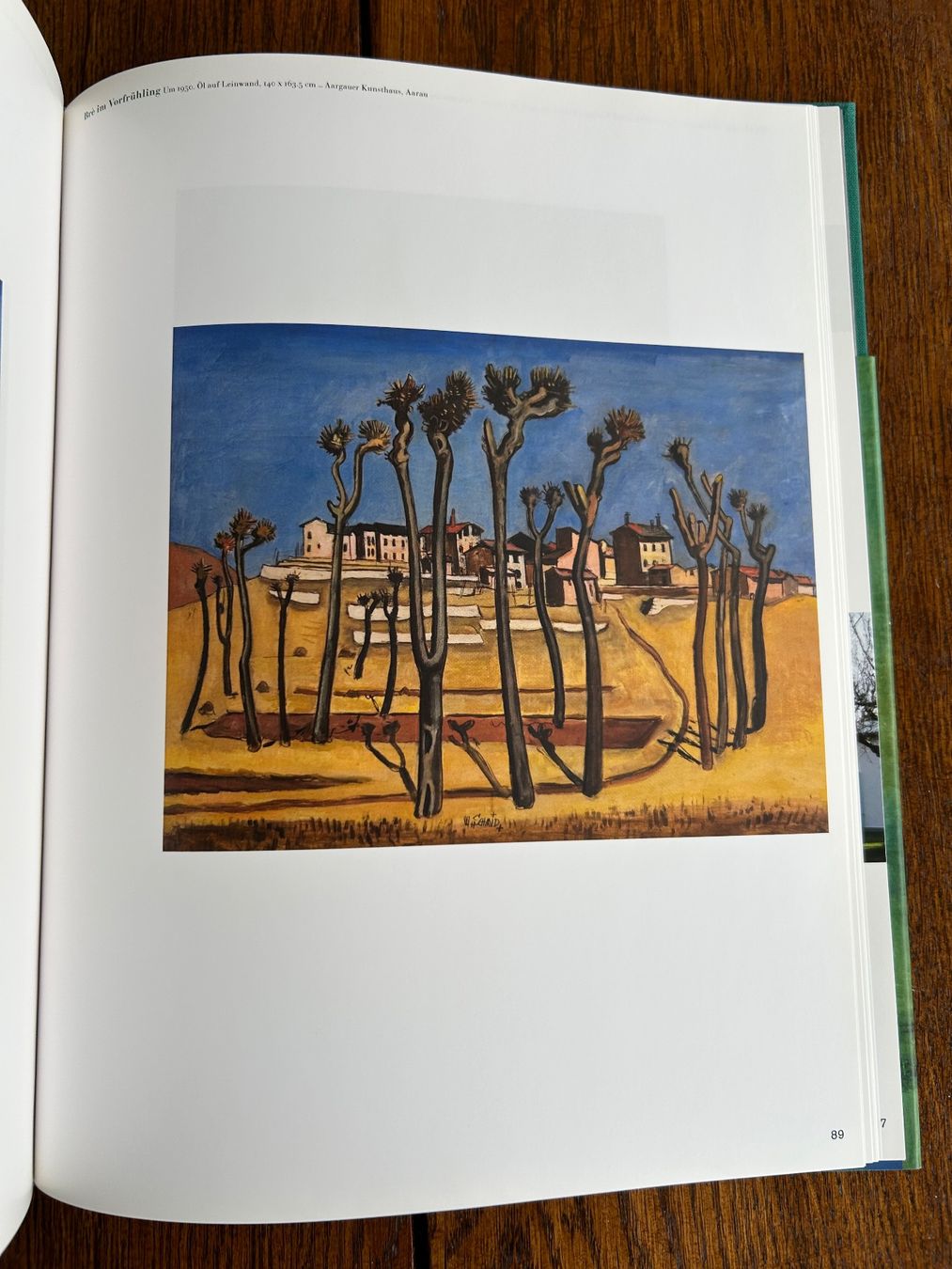 Libri: Wilhelm Schmid. Ein Pionier des Magischen Realismus – Usato da Basel venduto da Peter_schlemihl 8