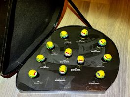 Ayrton Senna Helm Sammlung Minichamps 1:8