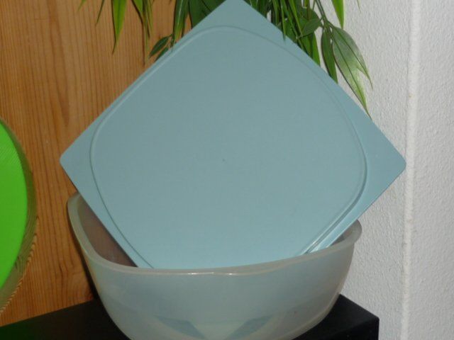 Tupperware Contenitori & Simili: TUPPERWARE CHEESMART MINI L. 20 CM. B. 20 CM. H. 8 CM. – Usato da St.Gallen venduto da Anso 3