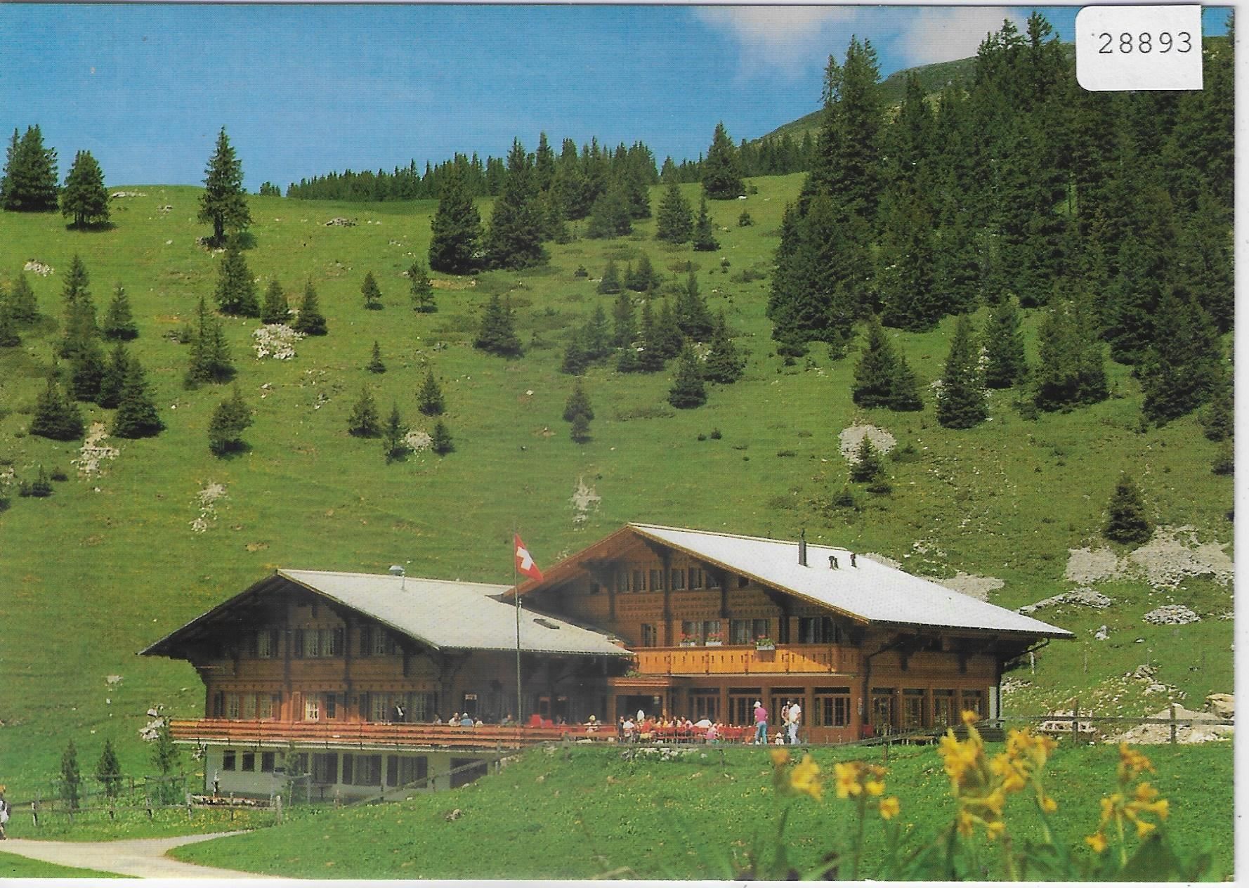 Ansichtskarten: Wanderparadies Elsigenalp - Frutigen – Gebraucht aus Ettingen von Kartenplanet