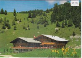 Wanderparadies Elsigenalp - Frutigen