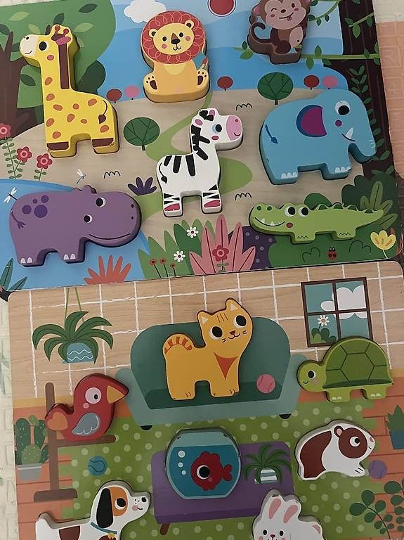Giochi: Giochi ad incastro in legno – Usato da Cadempino venduto da Ciciuz 2