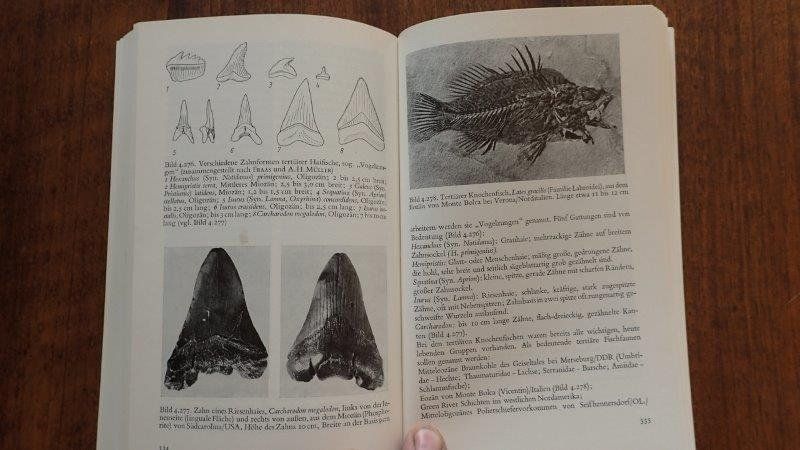 Bücher: Fossilien Bücher – Gebraucht aus Rickenbach BL von Oktober68 2