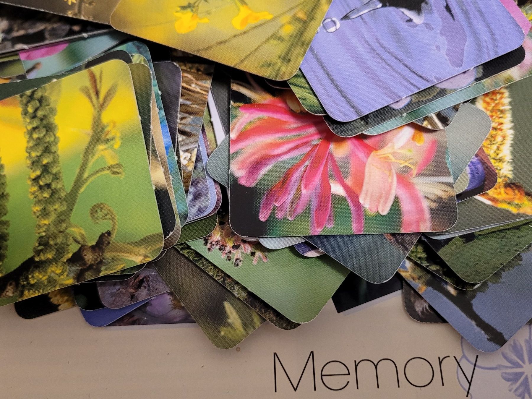 Giochi: Die Welt der Bachblüten ein Memory Spiel – Usato da Aarberg venduto da belaija 2