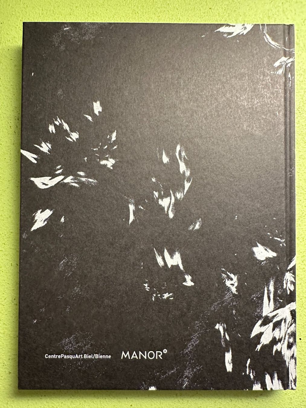 Libri: Julia Steiner: Kaleidoskop. d/f – Usato da Zürich venduto da allp 8