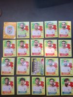 Panini ganzes Team Iran