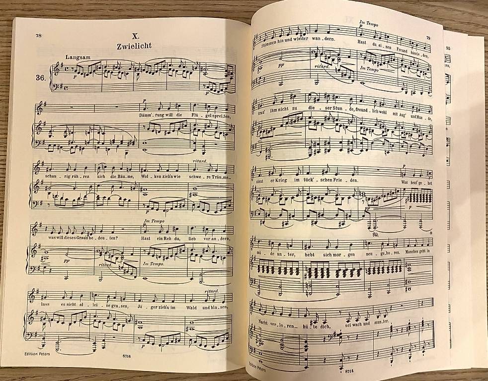 Livres: Schumann Lieder I Mittlere Stimme – D'occasion à Maur par chr_x8zv 1