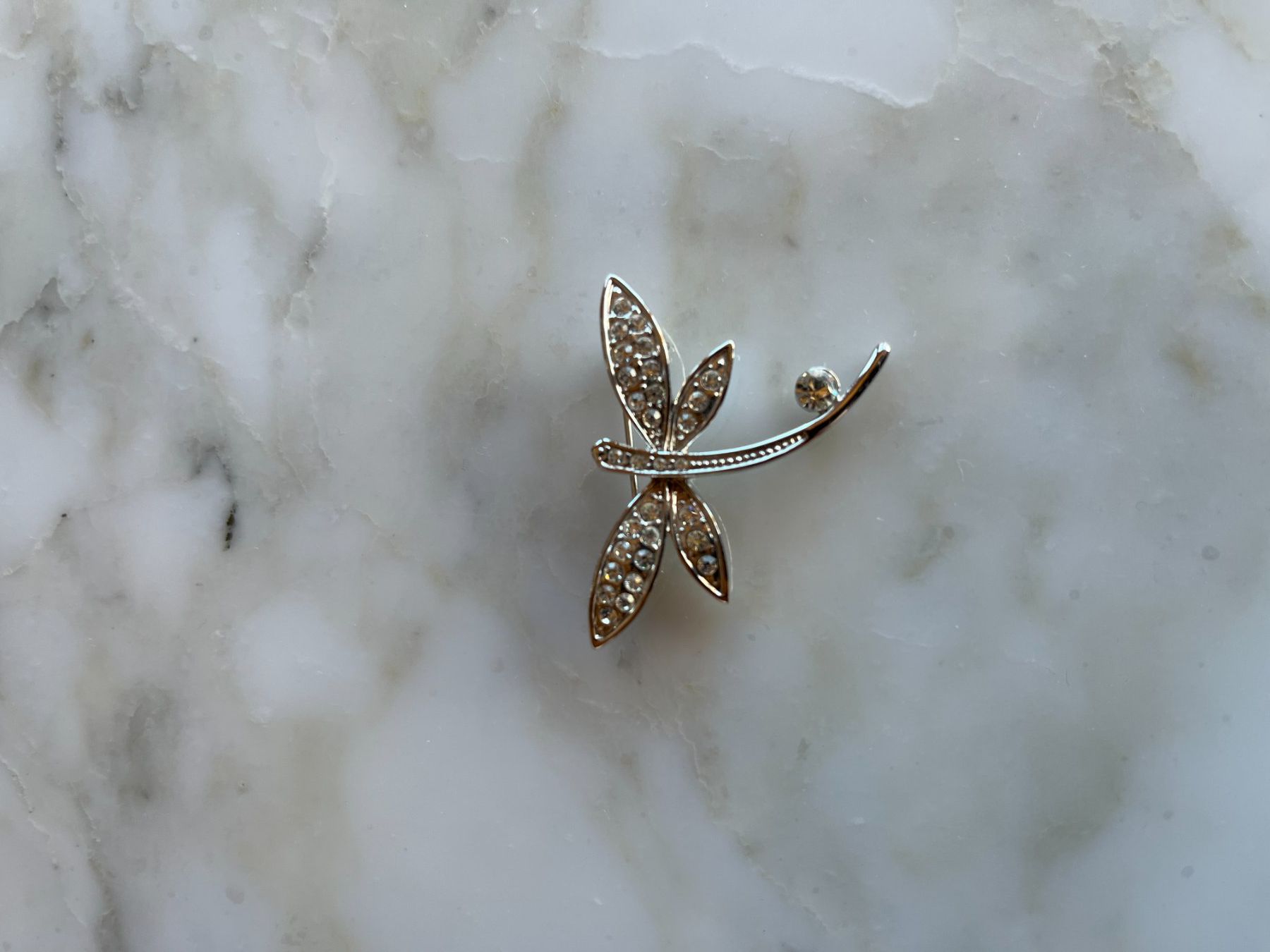 Broches & Aiguilles: Libelle, Modeschmuck – Neuf (Voir description) à Bern par cubus01