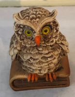 Lustige Figur "Eule der Weisheit" auf Buch sitzend