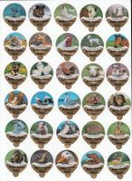 Deutschland, 28D Tiere und Sprüche  Gastro  runde Lasche