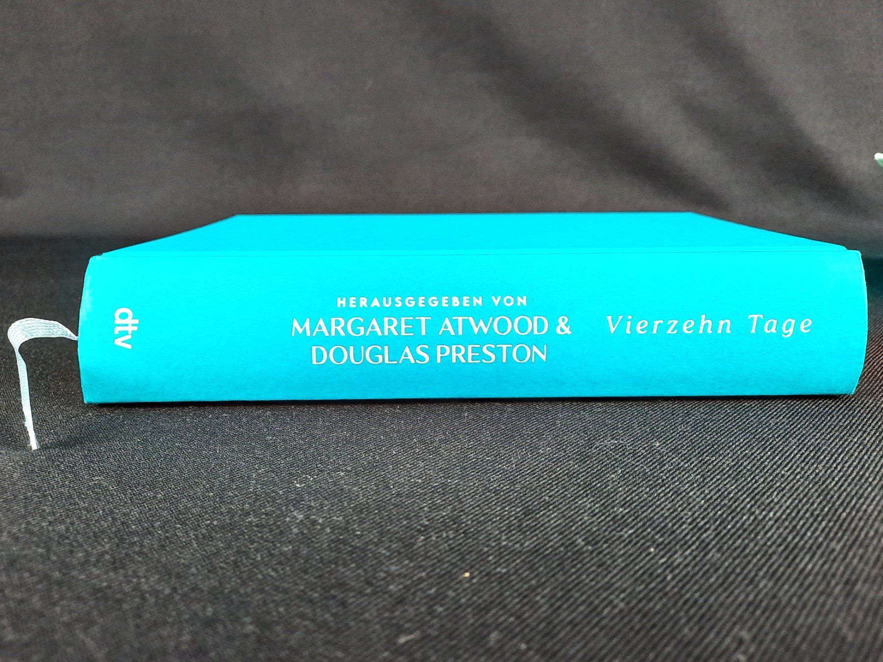 Libri: VIERZEHN TAGE Buch – Nuovo (secondo la descrizione) da Beinwil am See venduto da Restwert_Beinwil 4