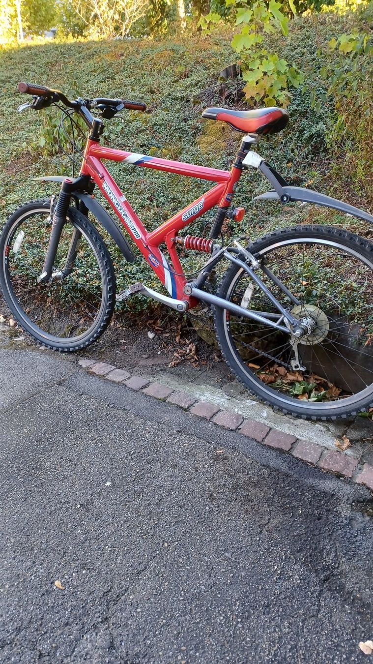 Velos: Bile 26 Zoll – Gebraucht aus spreitenbach von Acmc 2