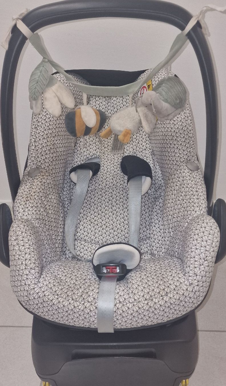 Maxi-Cosi Seggiolini per auto: Babyschale Maxi-Cosi Pebble + ISOFIX – Usato da Bottighofen venduto da Luana1234.