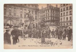 Ansichtskarte Lyon Place des Terreaux Tauben Antik