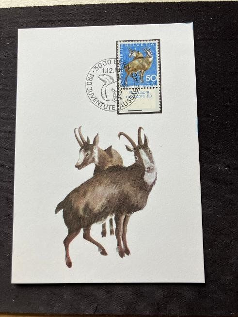 Tutti i francobolli: Cartes maximum PJ 1966 Tabs dès 2.- – Usato da Courtételle venduto da Boton0 4