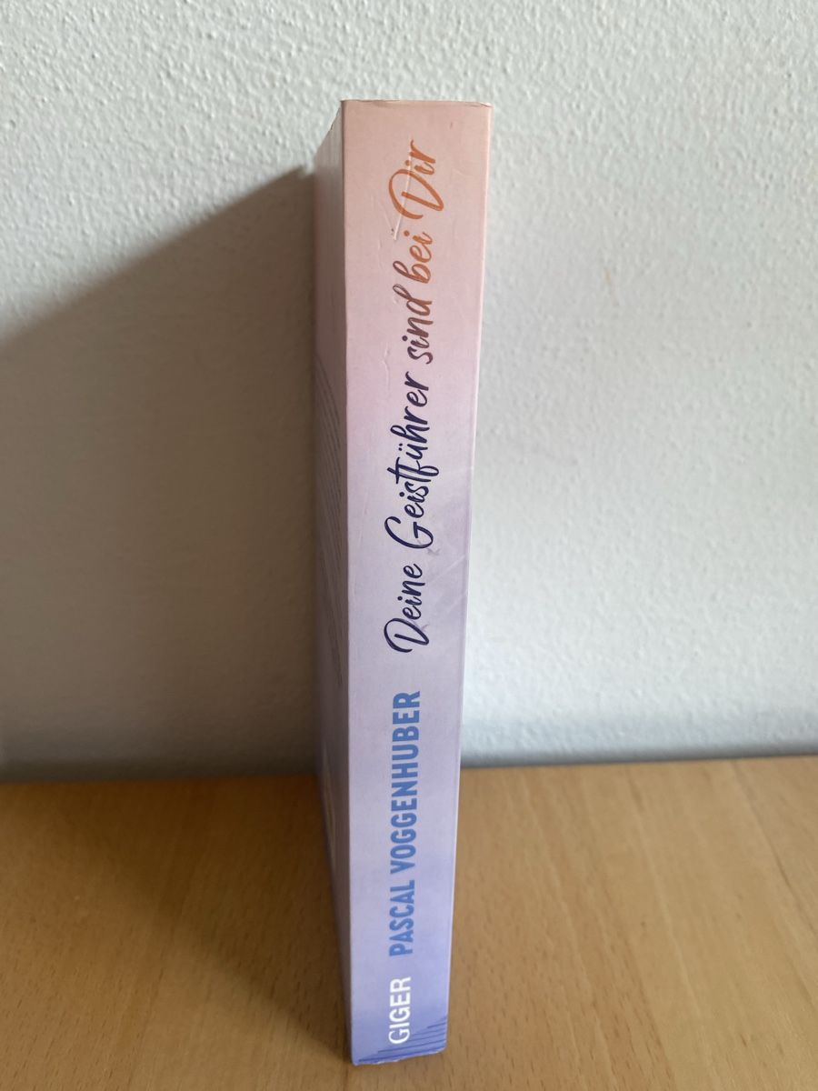 Libri: Deine Geistführer sind bei Dir - Pascal Voggenhuber  – Usato da Schwarzenburg venduto da Michellu 2