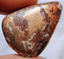 Cabochon L-2981 – Kupferdolit 23X16X5mm – 25.55 Karat
