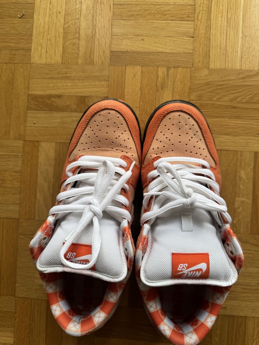 Chaussures hommes: Dunk low sb lobster orange – D'occasion à Genève par mat_2vps 1