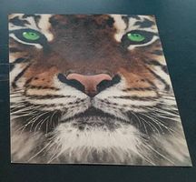 NEU Postkarte Tigergesicht, grüne Augen, ca. 12x17 cm