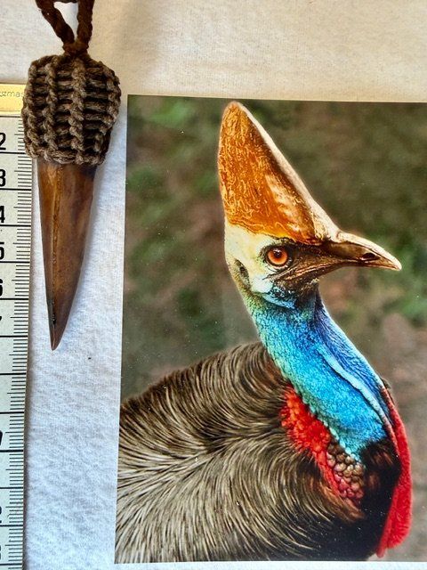 Posate: Echte Kasuar Kralle -  Selten! – Usato da Thun venduto da Abalona3600 3