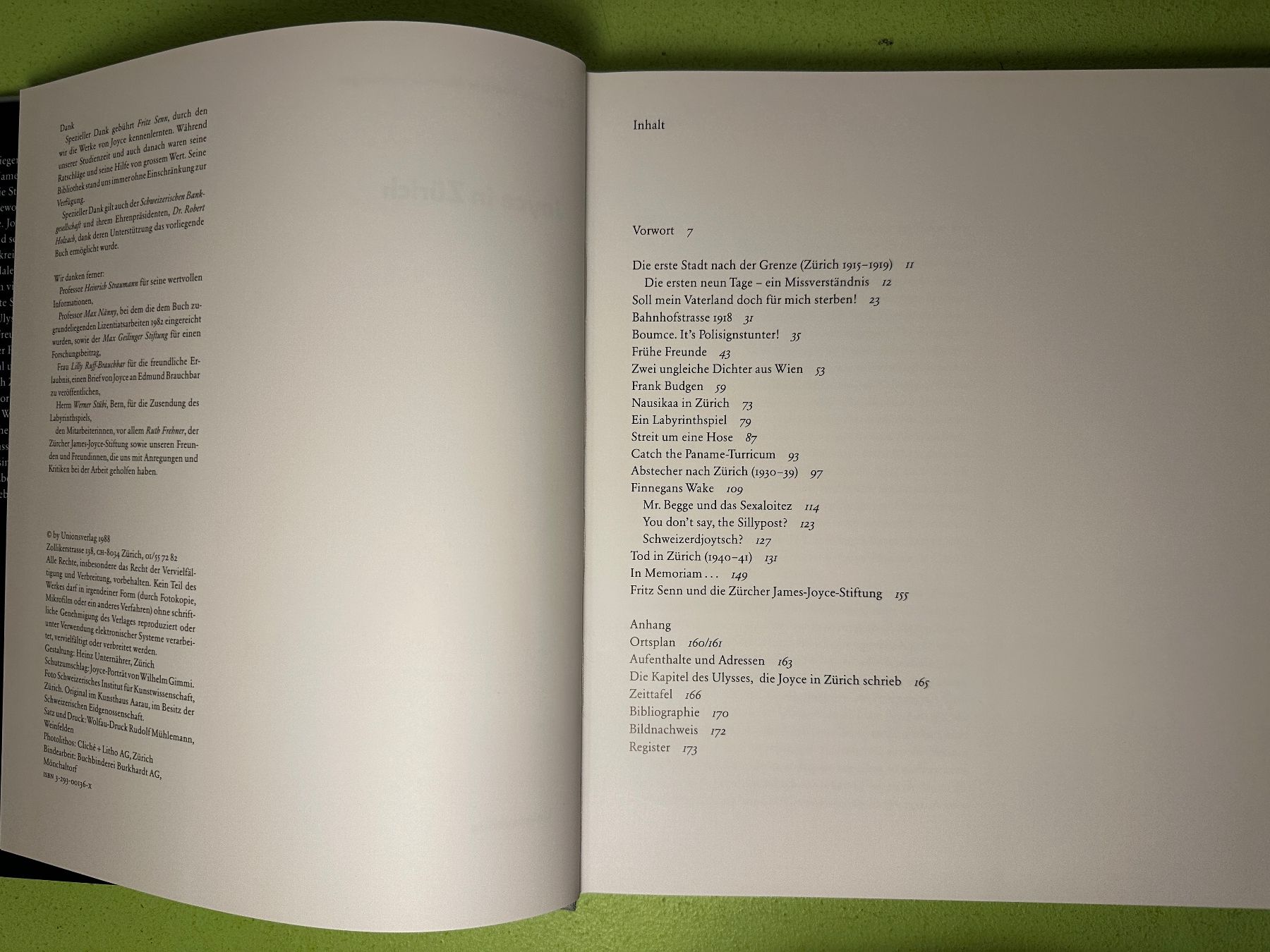 Libri: Thomas Faerber, Markus Luchsinger: Joyce in Zürich. – Usato da Zürich venduto da allp 3