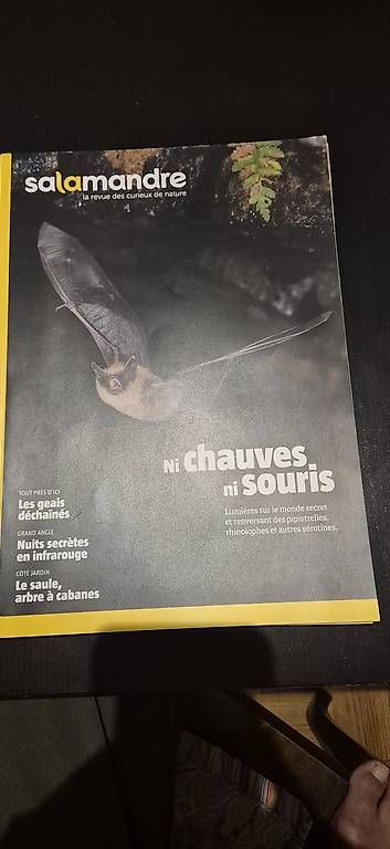 Riviste & Magazine: La Salamandre 6 n° – Usato da Lausanne venduto da angelalone 1