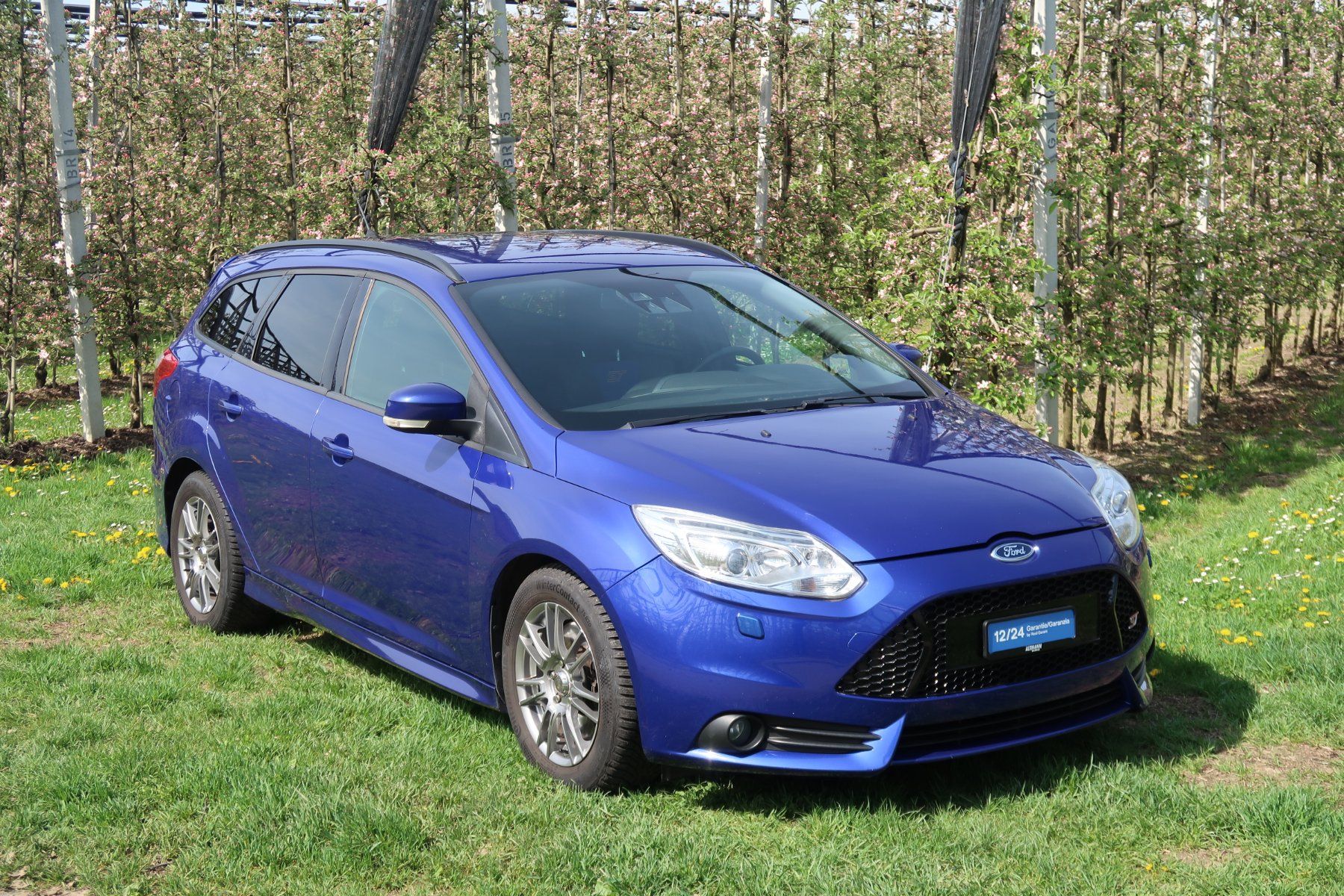 Ford Automobili: Ford Focus ST  Sation Wagon 2.0i EcoB SCTi – Usato da Büsingen venduto da garagealtmann