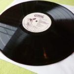 Dischi in vinile: Waterfall „Beneath the Stars“ – Usato da Emmenbrücke venduto da Dickens 2