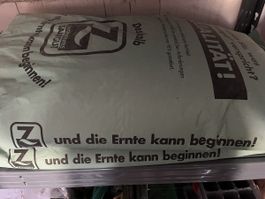 Bio Blaue Lupine (BOREGINE) – 25 kg Zertifiziertes Saatgut