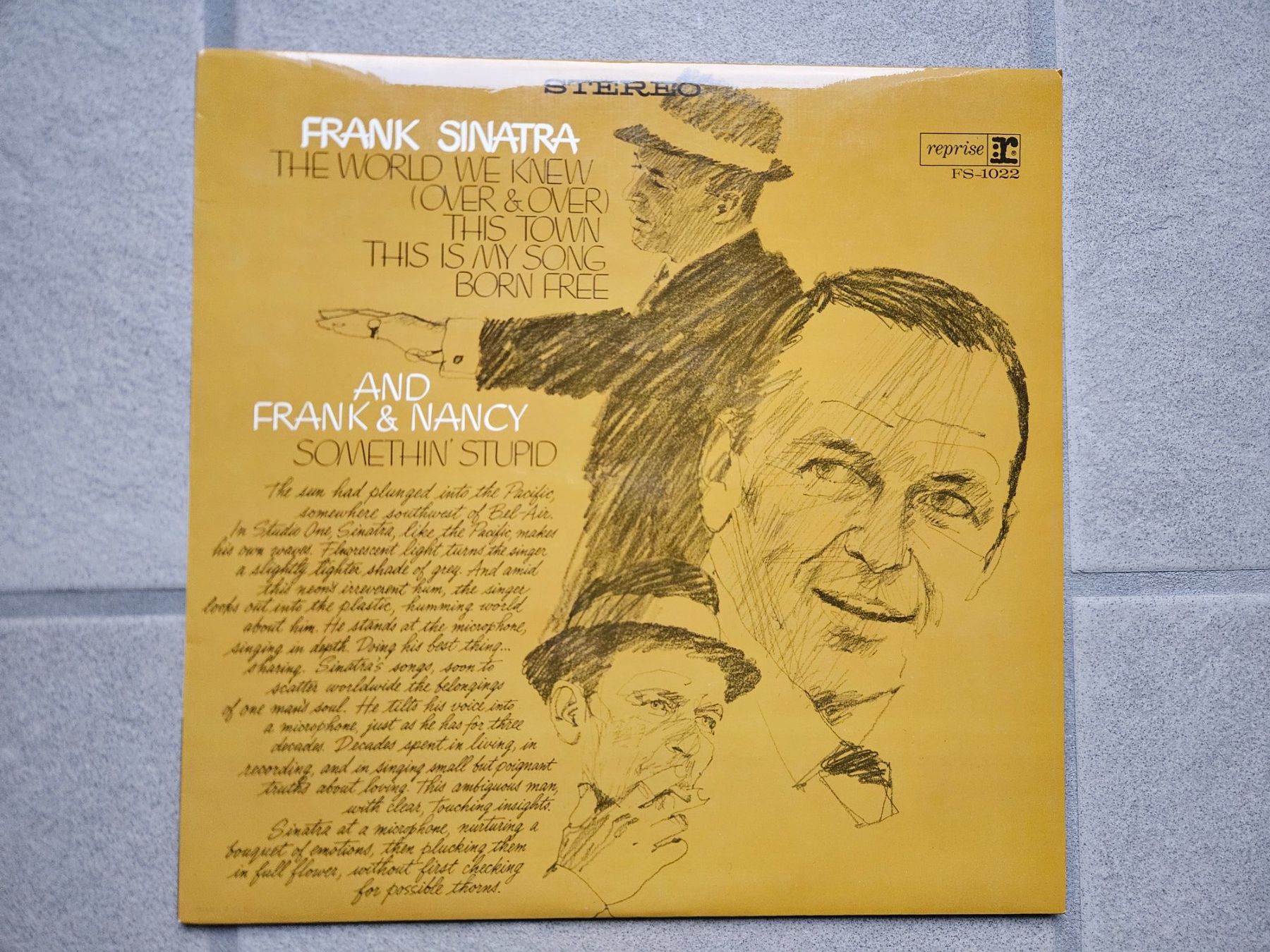 Dischi in vinile: Frank Sinatra - The world we knew – Usato da Volketswil venduto da Lokitier