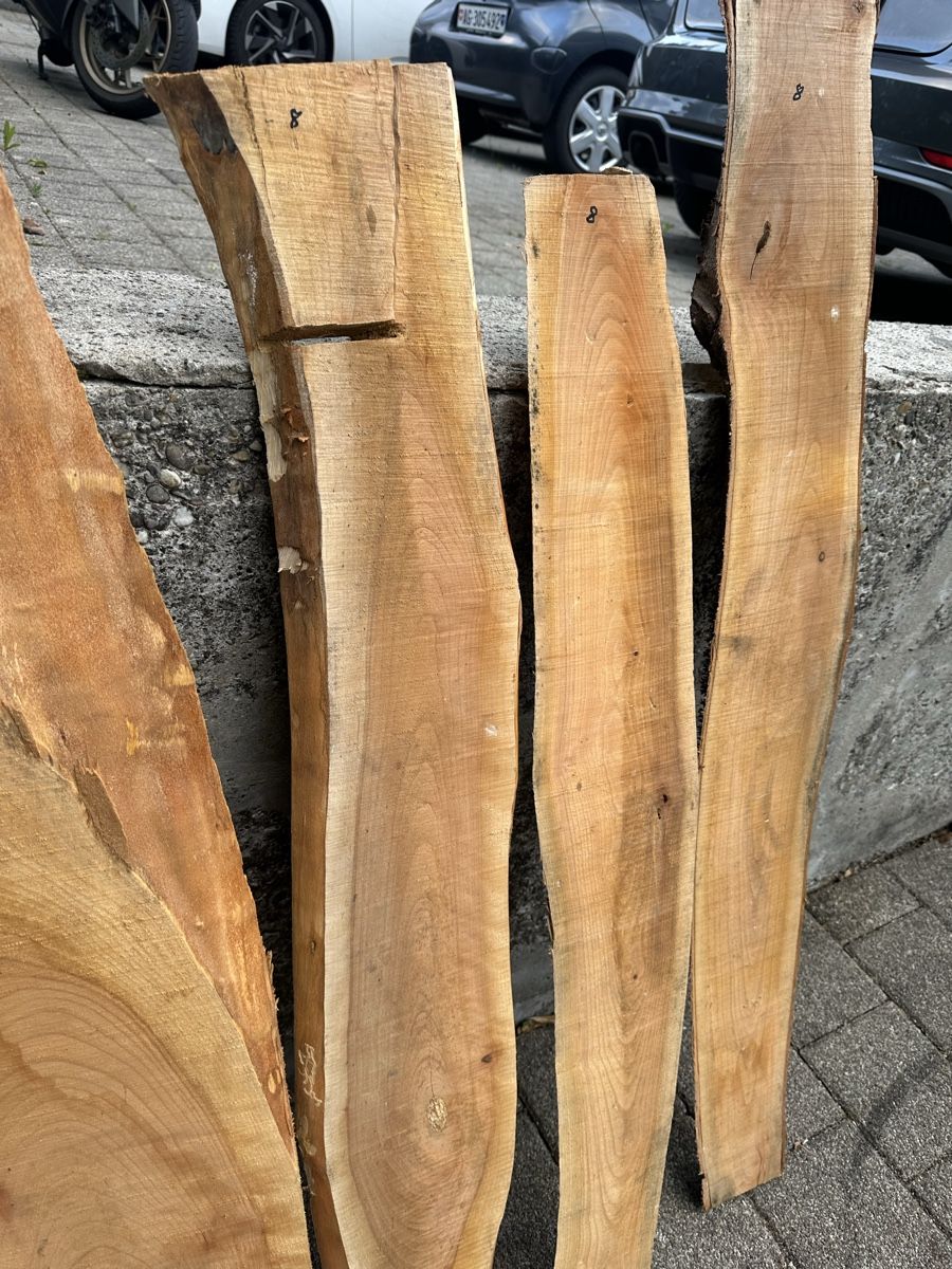 Articoli in legno: 6stk KischbaumBretter – Nuovo (secondo la descrizione) da möhlin venduto da platzsimo