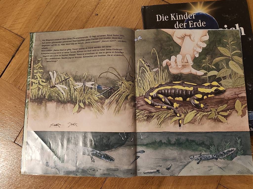 Libri: Grosse Kinderbücher – Usato da Zürich venduto da jeu_szl9 2