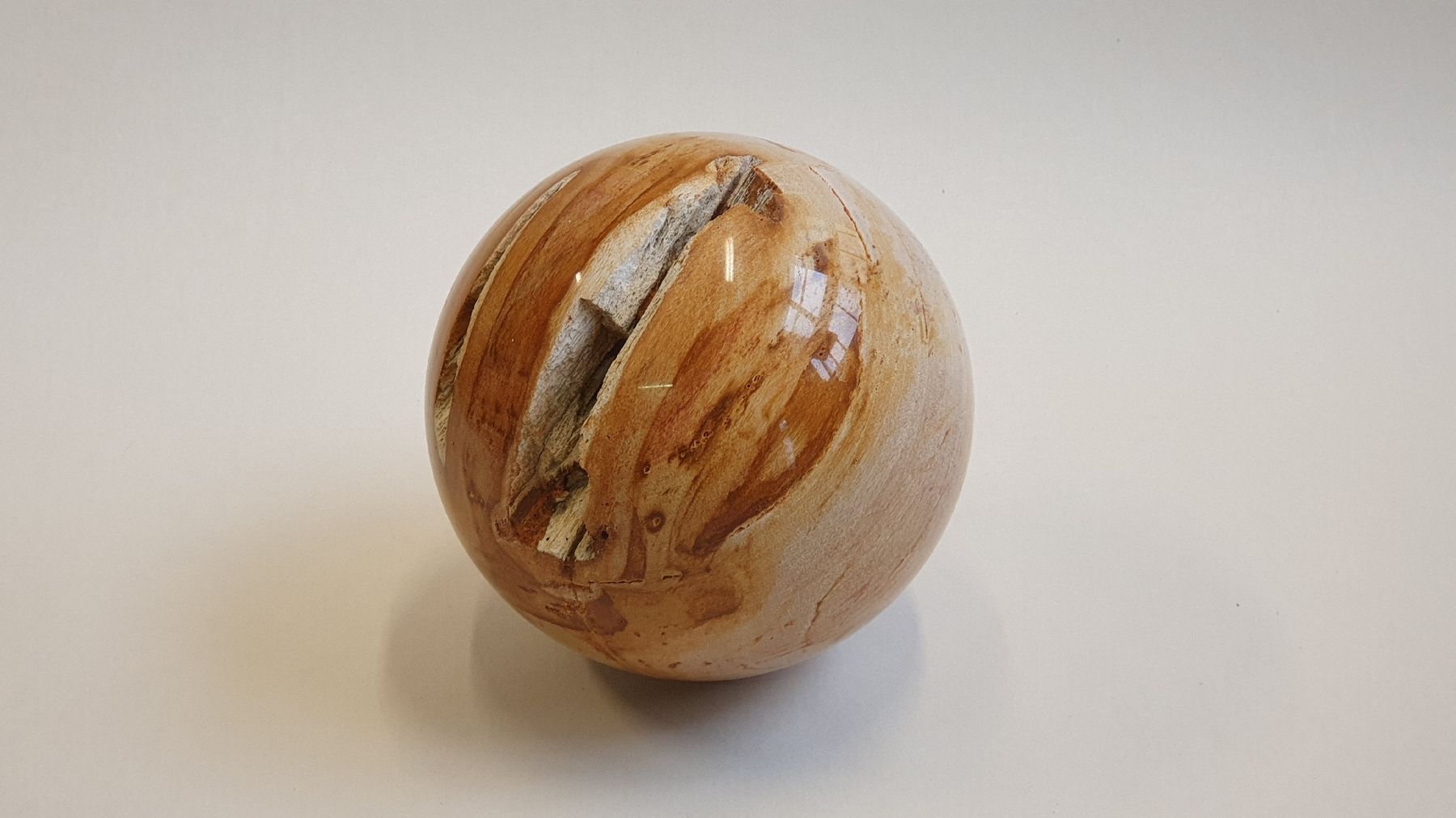 Mineralien & Heilsteine: Versteinertes Holz, polierte Kugel 140 mm – Neu (gemäss Beschreibung) aus Dürnten von stefanverkauft