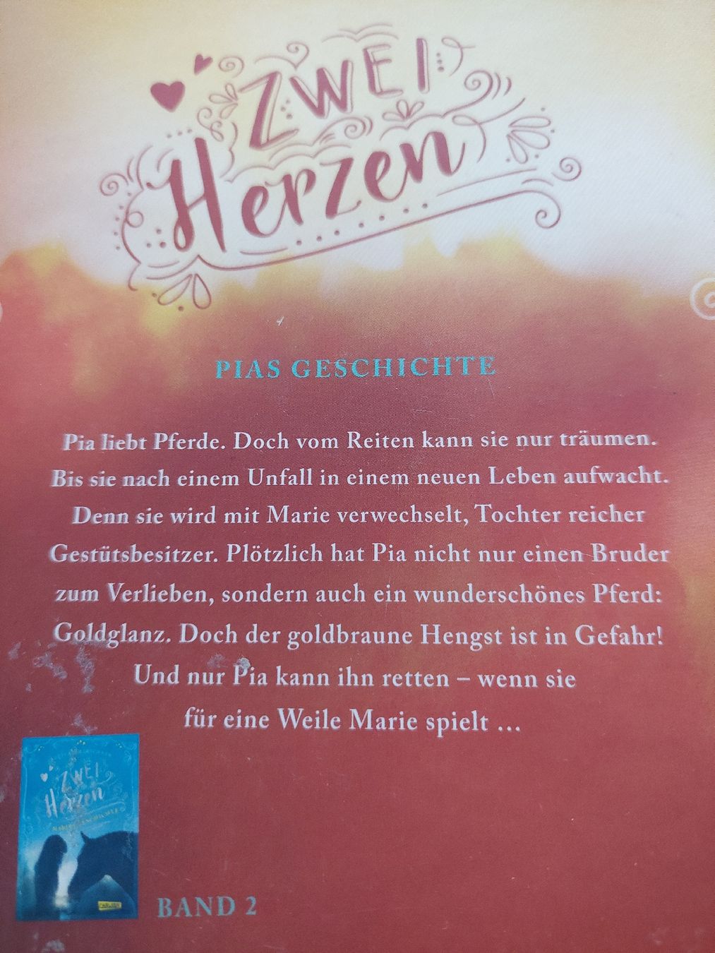 Libri: 4 tolle Pferdebücher,  Charlotte Link – Usato da Zetzwil venduto da lanst08 3