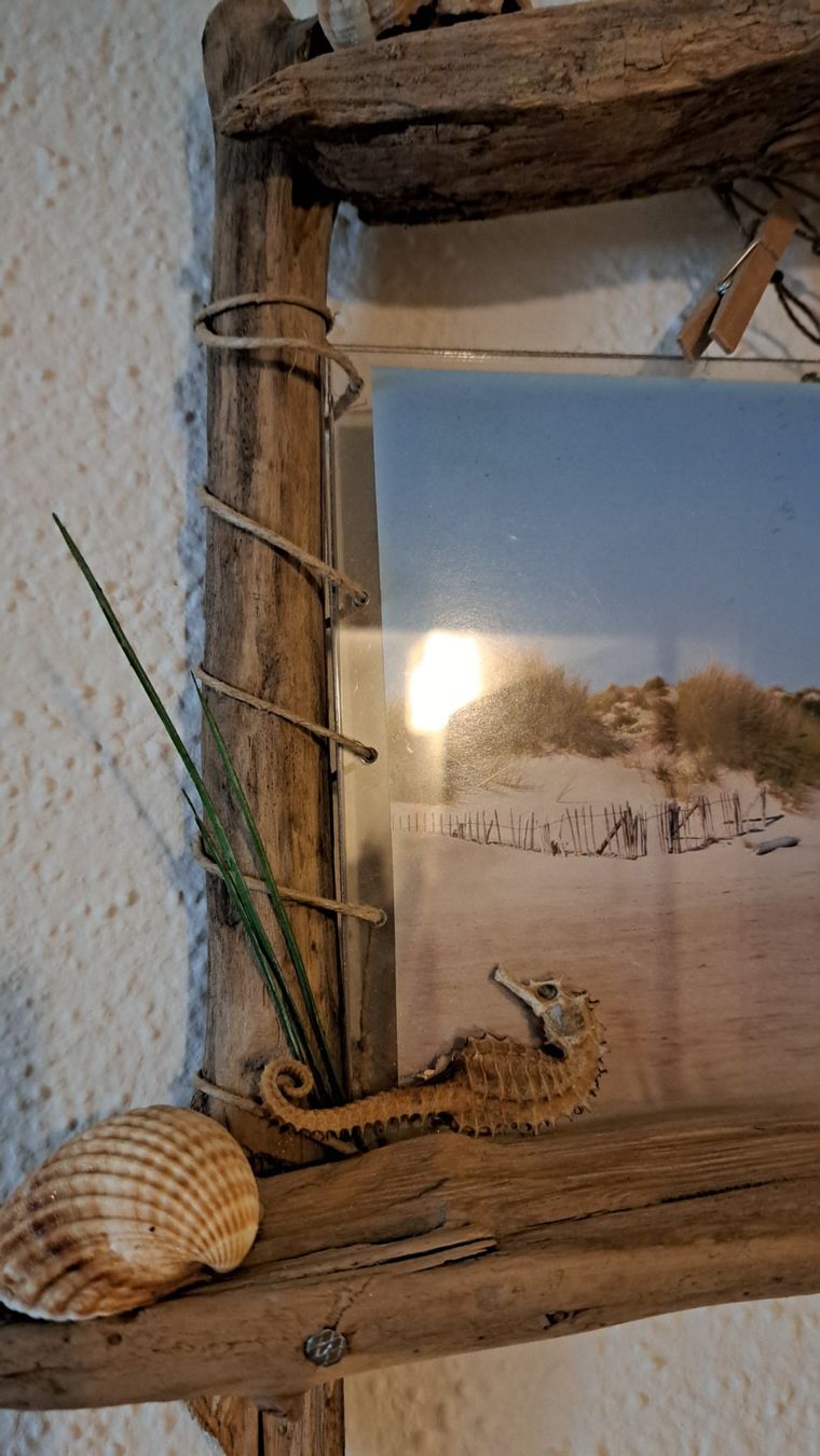 Foto & Immagini: Schwemmholzbilder – Usato da Kleindöttingen venduto da Strandgut88 7