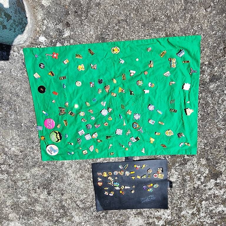 Placchette & Badge: Pins collection – Usato da Bussigny venduto da DOC1030 1