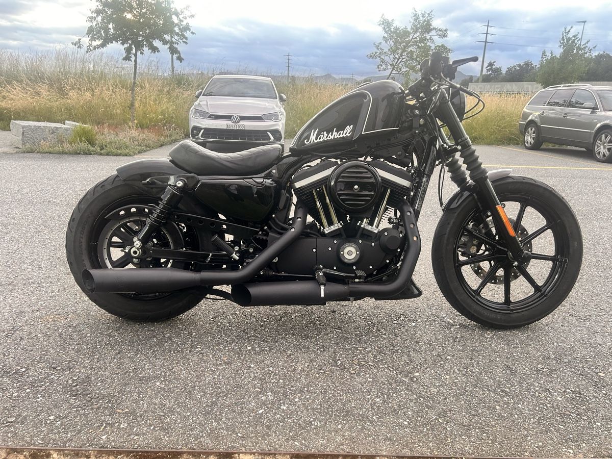 Harley-Davidson Cruisers: Harley Davidson  – D'occasion à Staufen par Carlito1705 4