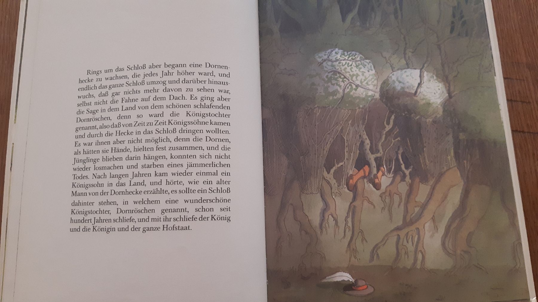 Libri: Dornröschen, Brüder Grimm, Warwick Hutton, Bilderbuch, 1979 – Usato da Oey venduto da Parkplatzbrocki 5