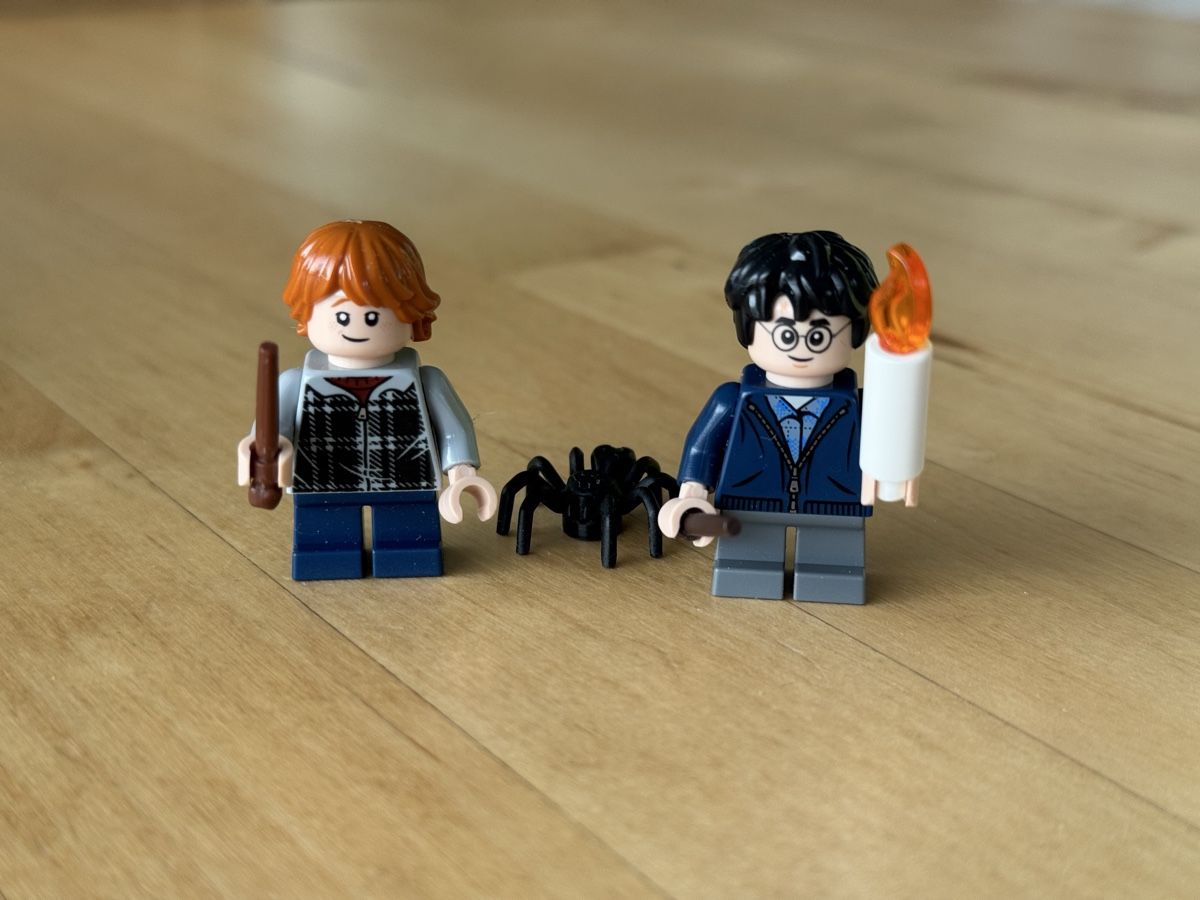 Lego Giocattoli: Lego Harry Potter Set - Ron, Harry & Spinne – Usato da Neuhausen am Rheinfall venduto da Laghi 2