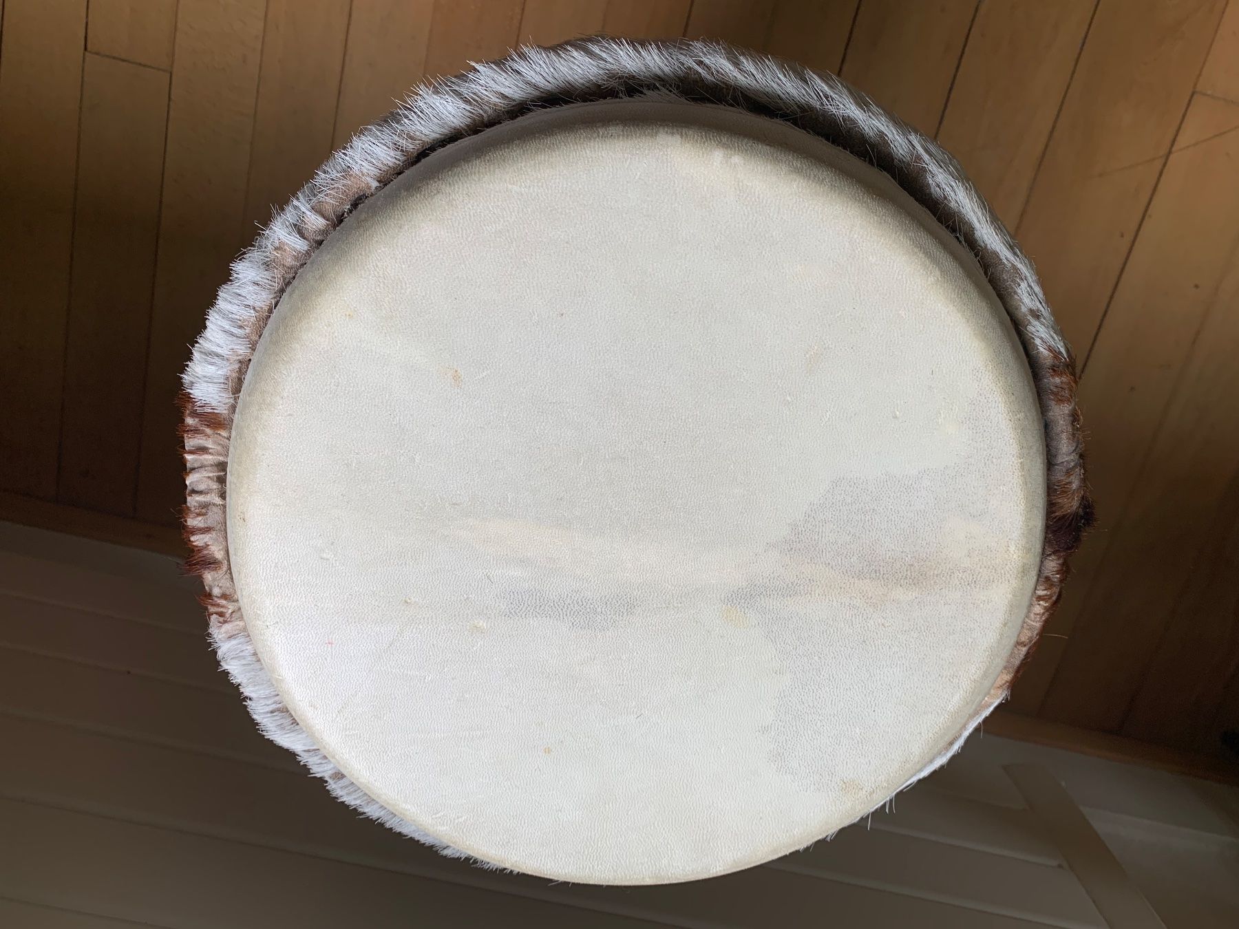 Musikinstrumente: Djembe Percussion Trommel – Gebraucht aus Zürich von PascaleC 7