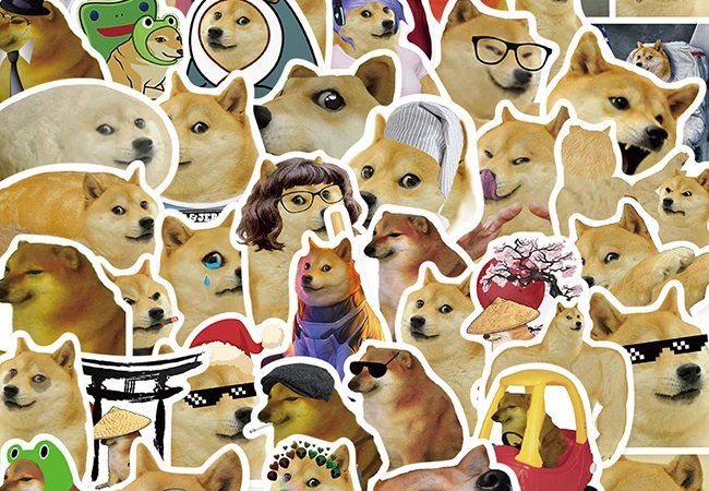 Lustige Hundeleinenhülse Mit Spruch „I Am Nervous“ – Waschbar, Für Mittlere & Große Hunde