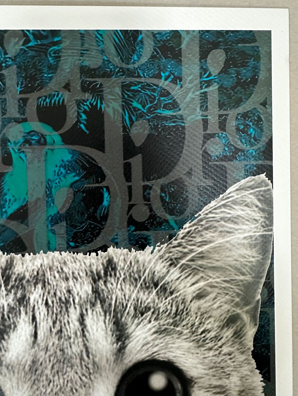 Foto & Immagini: Death: Bubble Dior Cat, signiert 31/100 – Nuovo (secondo la descrizione) da Meilen venduto da Smgdesign 4