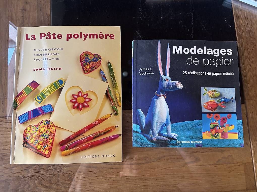 Bücher: 2 livres bricolage – Gebraucht aus Perroy von barballalla