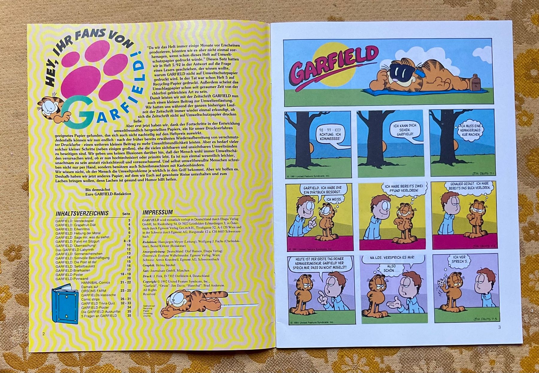 Fumetti: Garfield Heft Nr 7 von 1992 – Usato da Endingen venduto da nathan05 1