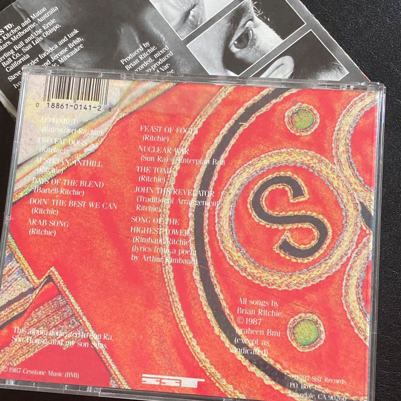 CD: Brian Ritchie - The Blend | Violent Femmes – Usato da Bern venduto da Ntsamina 1