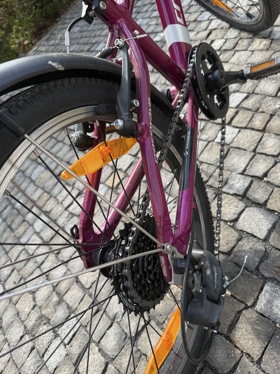 Crosswave Biciclette: 20” Crosswave velo  – Usato da Meggen venduto da Petra-Arte 3