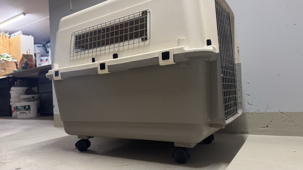 Cucce & Letti: Praktische Hundebox – Usato da Weiningen ZH venduto da proi4o 3