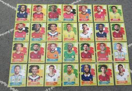 Panini Sammlung Top Stars, inkl. Messi, Salah, Olise, Pedri!