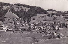 Signau
