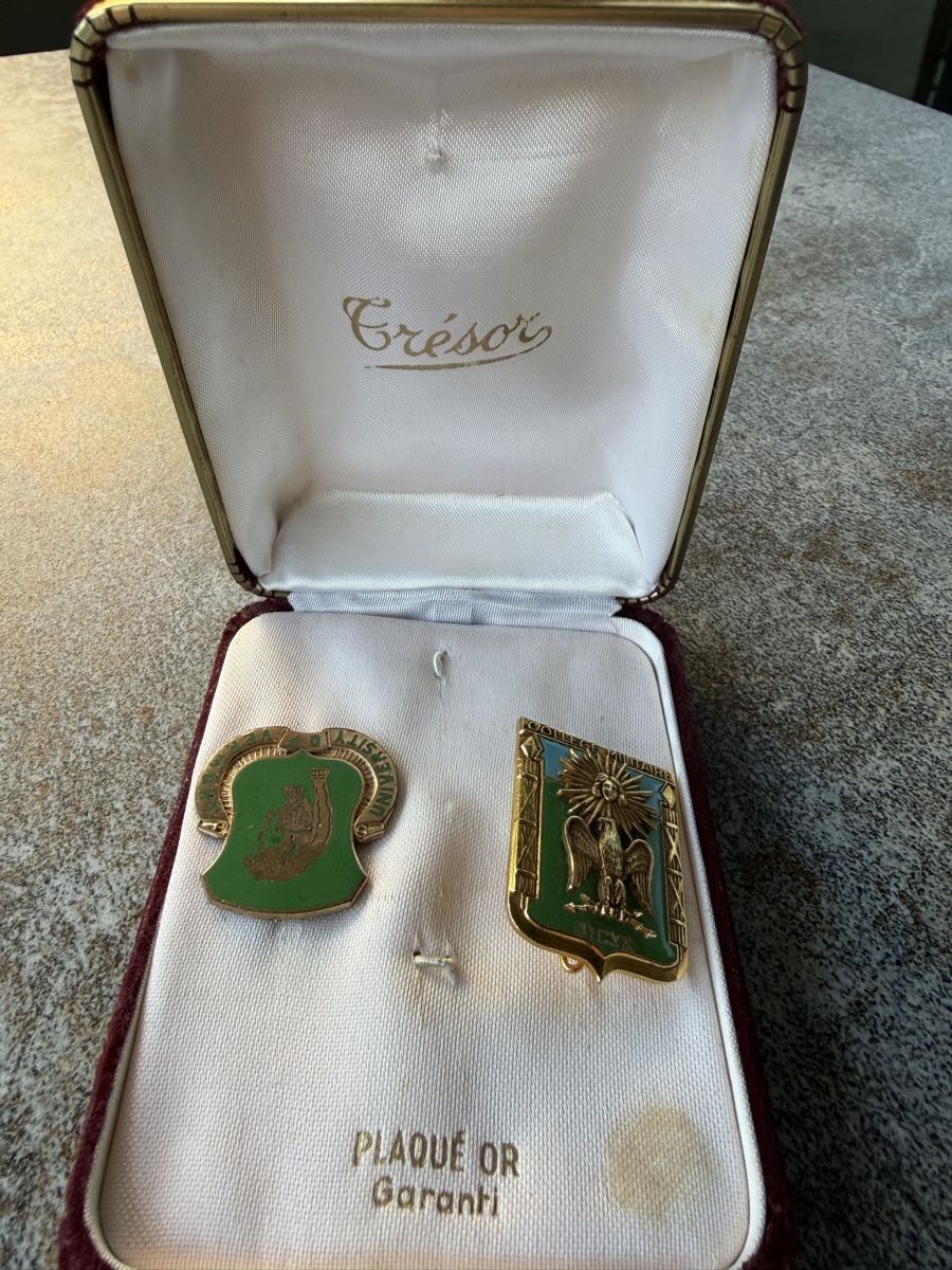 Plaketten & Abzeichen: Pins in Box – Gebraucht aus Sursee von Dersempacher